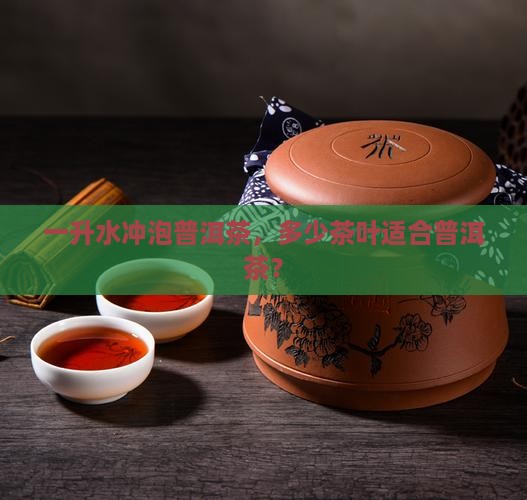 一升水泡多少普洱茶比较好