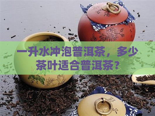 一升水泡多少普洱茶比较好