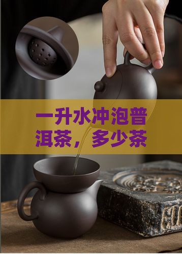 一升水泡多少普洱茶比较好