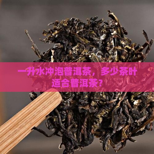 一升水泡多少普洱茶比较好