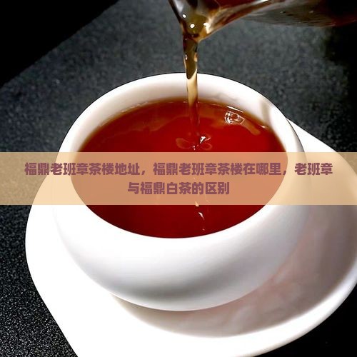 福鼎老班章茶楼