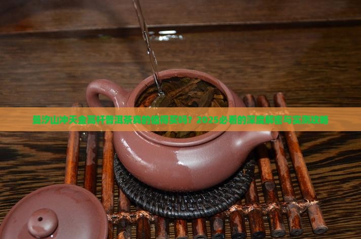 曼汐山冲天金高杆普洱茶