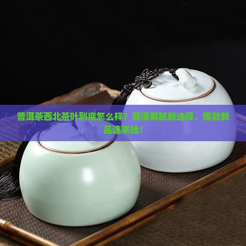普洱茶西北茶叶