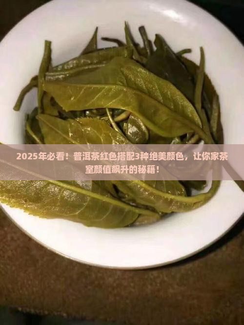 普洱茶红色搭配什么颜色