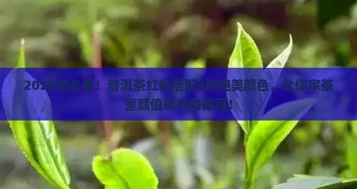 普洱茶红色搭配什么颜色