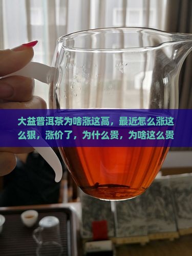 大益普洱茶为啥涨这高
