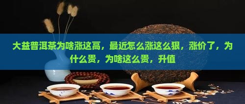 大益普洱茶为啥涨这高