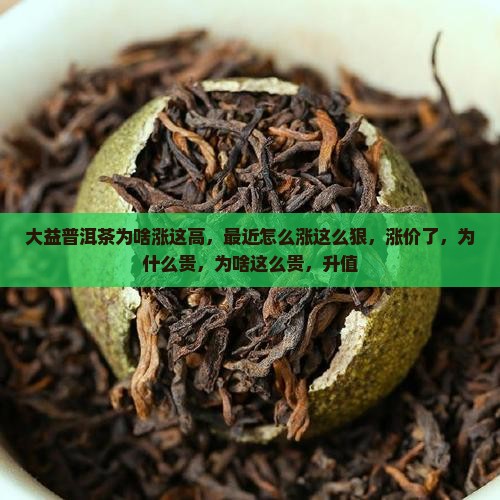 大益普洱茶为啥涨这高
