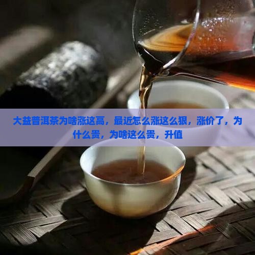 大益普洱茶为啥涨这高
