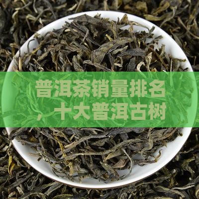 古树普洱茶销量排行榜
