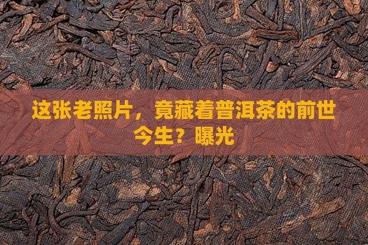 普洱茶源老照片