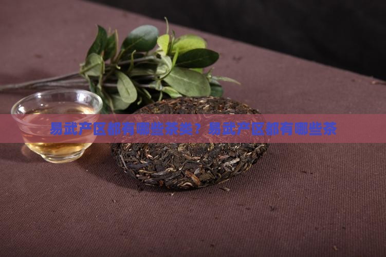 易武产区都有哪些茶