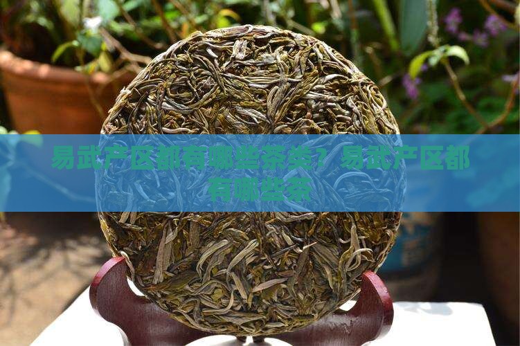 易武产区都有哪些茶