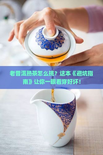 如何区分老普洱茶熟茶的好坏