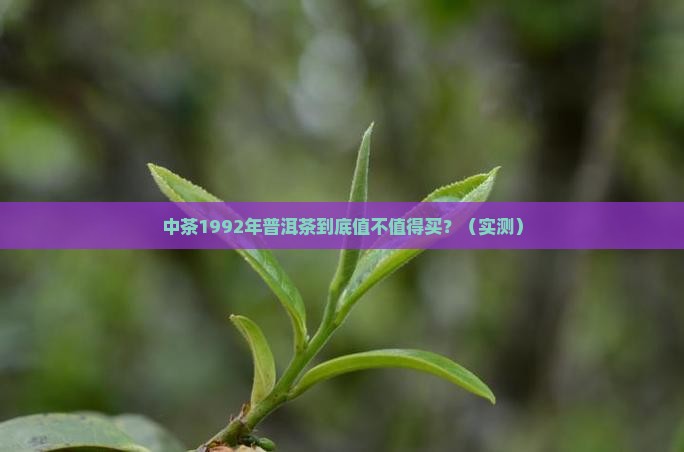 中茶1992年普洱茶