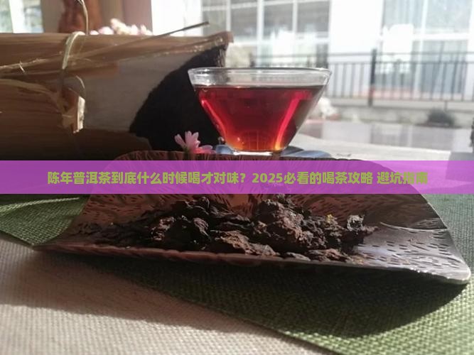 陈年普洱茶什么时候喝好