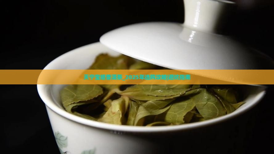 天宁宝塔普洱茶