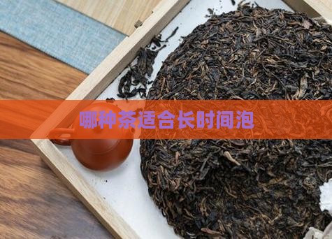 哪种茶可以长时间泡