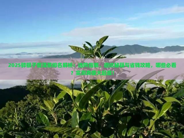 碎银子普洱茶的排名