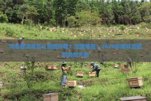 河池普洱茶怎么加盟好呢