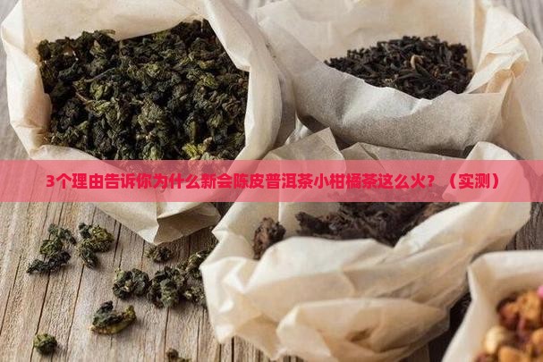 新会陈皮普洱茶小柑橘茶