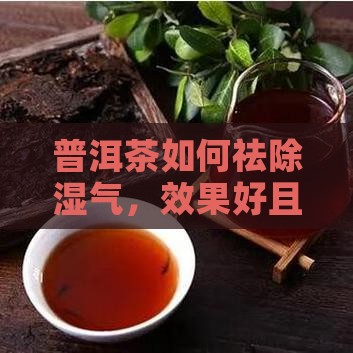 普洱茶如何祛除湿气