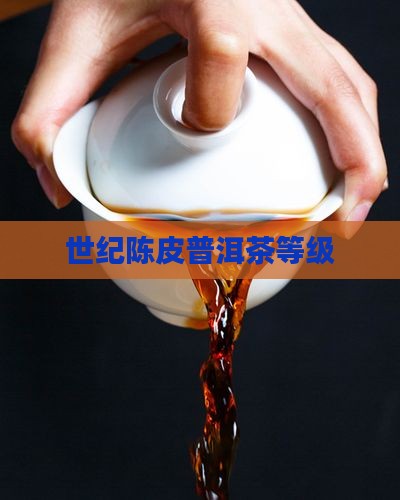 世纪茗家陈皮普洱茶等级
