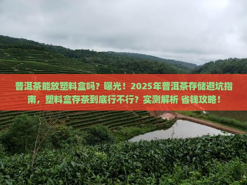 普洱茶能放塑料盒那
