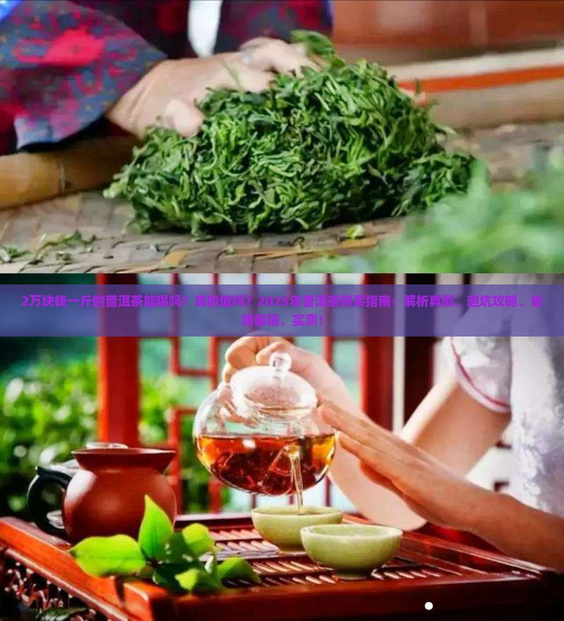 2万块钱一斤的普洱茶能喝吗
