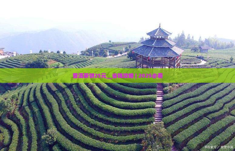 普洱茶饼25元