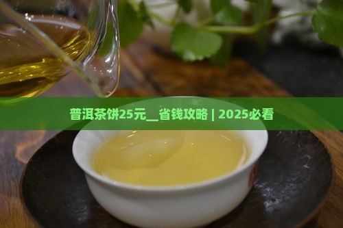 普洱茶饼25元