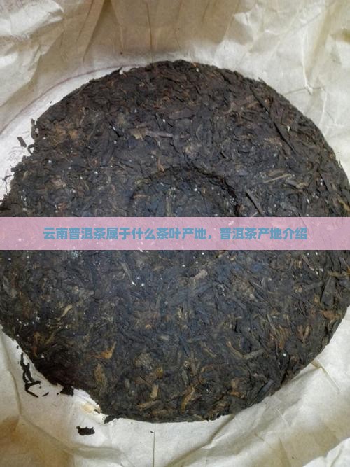 云南普洱茶是哪类茶叶产地