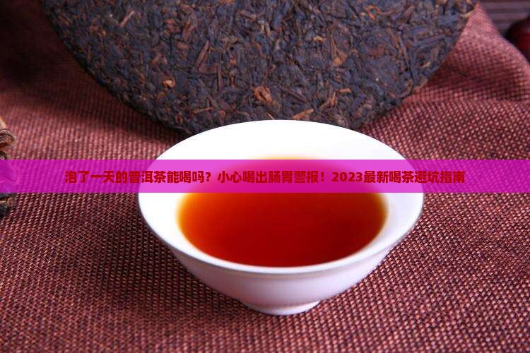 泡了一天的普洱茶能喝吗