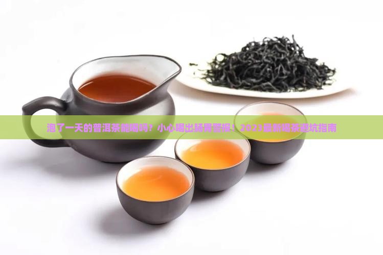 泡了一天的普洱茶能喝吗