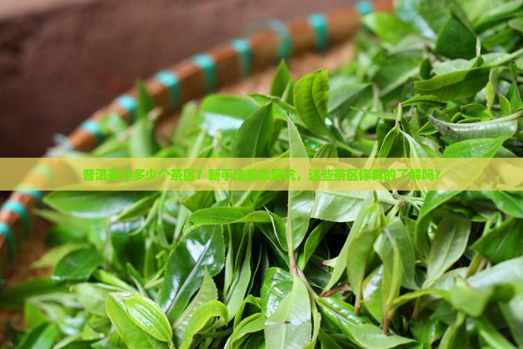 普洱茶分多少个茶区