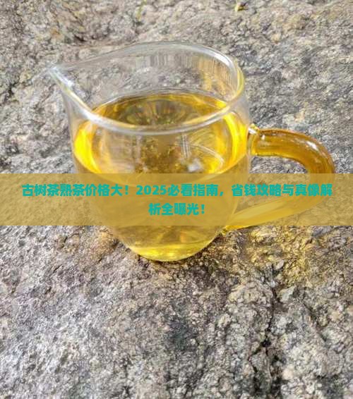 古树茶熟茶古茶价格