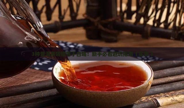 一般人适合喝哪种普洱茶