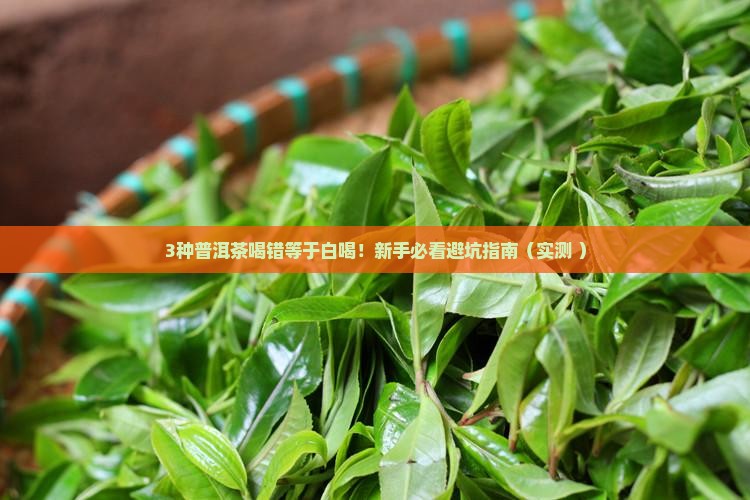一般人适合喝哪种普洱茶