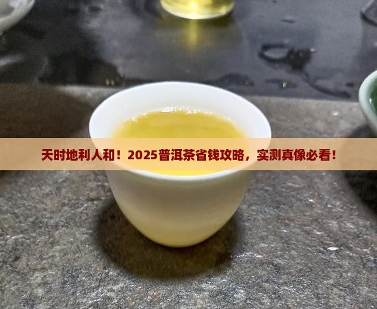 天时地利人和普洱茶