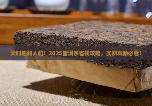 天时地利人和普洱茶