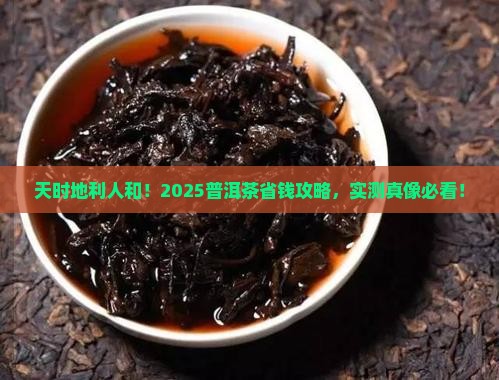 天时地利人和普洱茶
