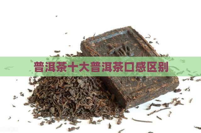 普洱茶十大品牌的口感区别