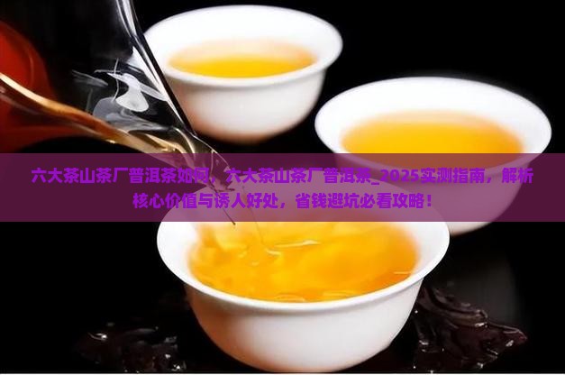 六大茶山茶厂普洱茶如何