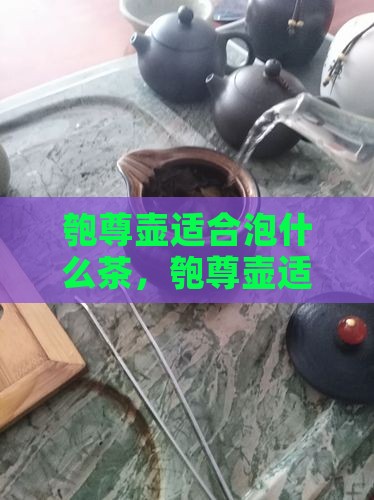匏尊壶适合泡什么茶