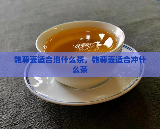 匏尊壶适合泡什么茶