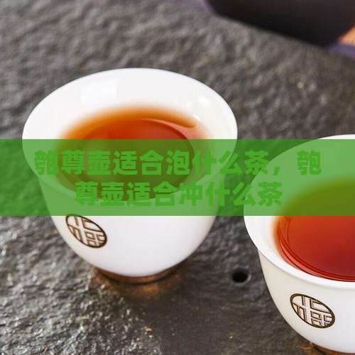 匏尊壶适合泡什么茶