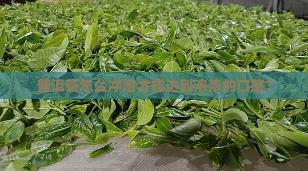 普洱茶怎么冲才香浓浓的口感