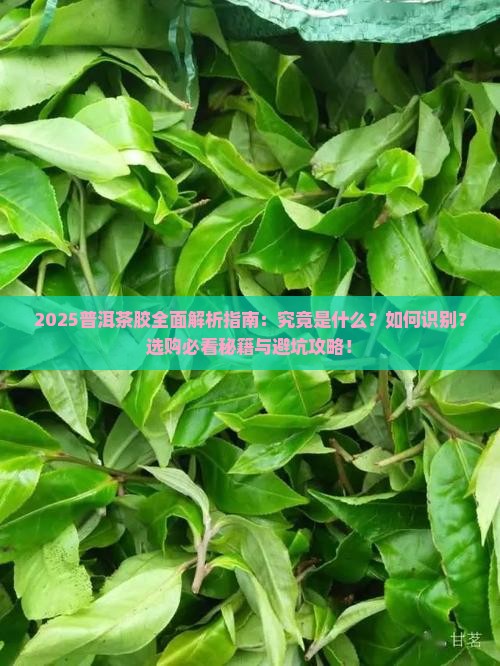 普洱茶胶是什么样的