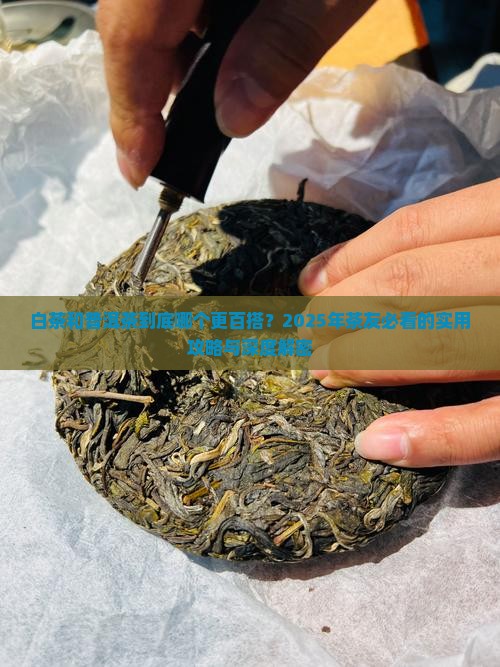 白茶与普洱茶哪个更百搭