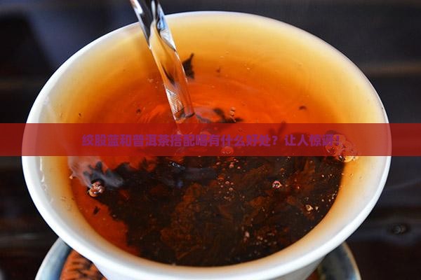绞股蓝和普洱茶搭配喝